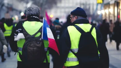 дострокові вибори Франція