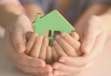 нові правила патронату