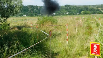 реєстр вибухонебезпечних предметів