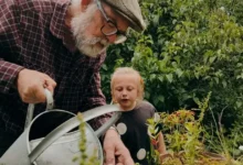 Близькі стосунки з сім'єю