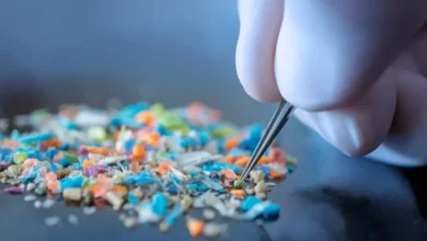 мікропластик у спермі