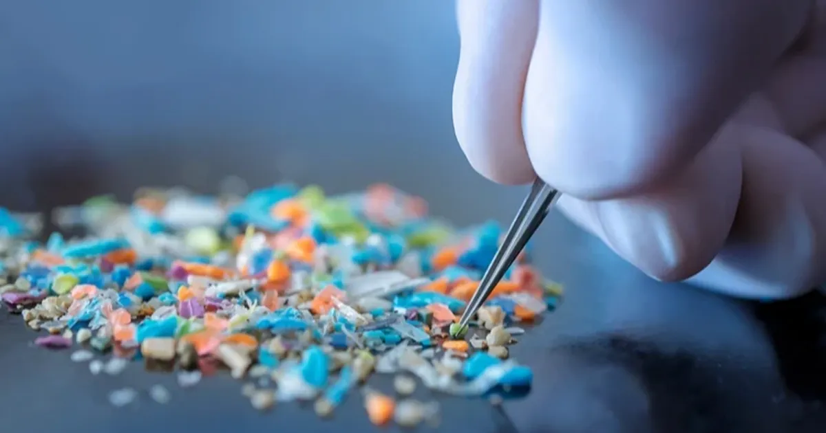 мікропластик у спермі