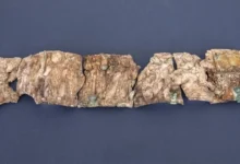 Зображення Мойсея