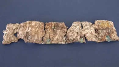 Зображення Мойсея