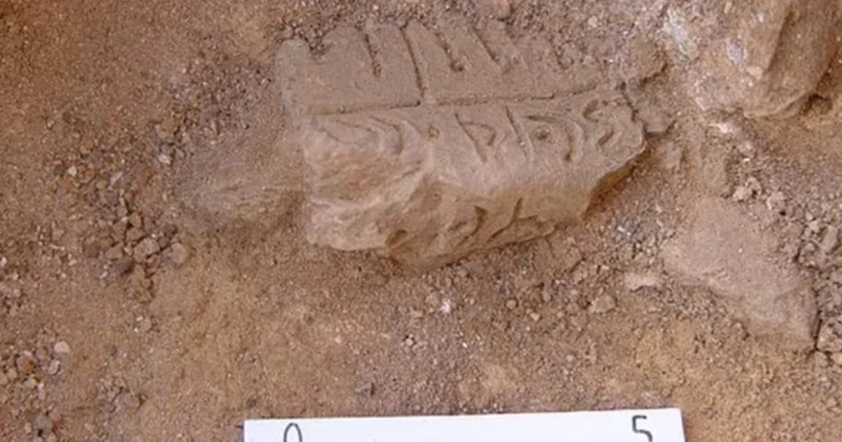 загублений алфавіт хананеїв