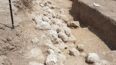 археологічні знахідки Мойсей