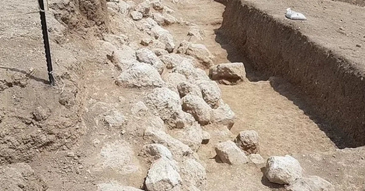 археологічні знахідки Мойсей