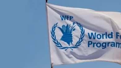 Відкриття офісу ВПП в Україні