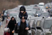 повернення біженців та діаспорян в Україну