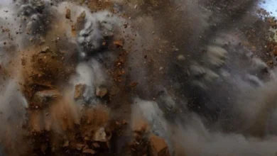 збитки довкіллю України