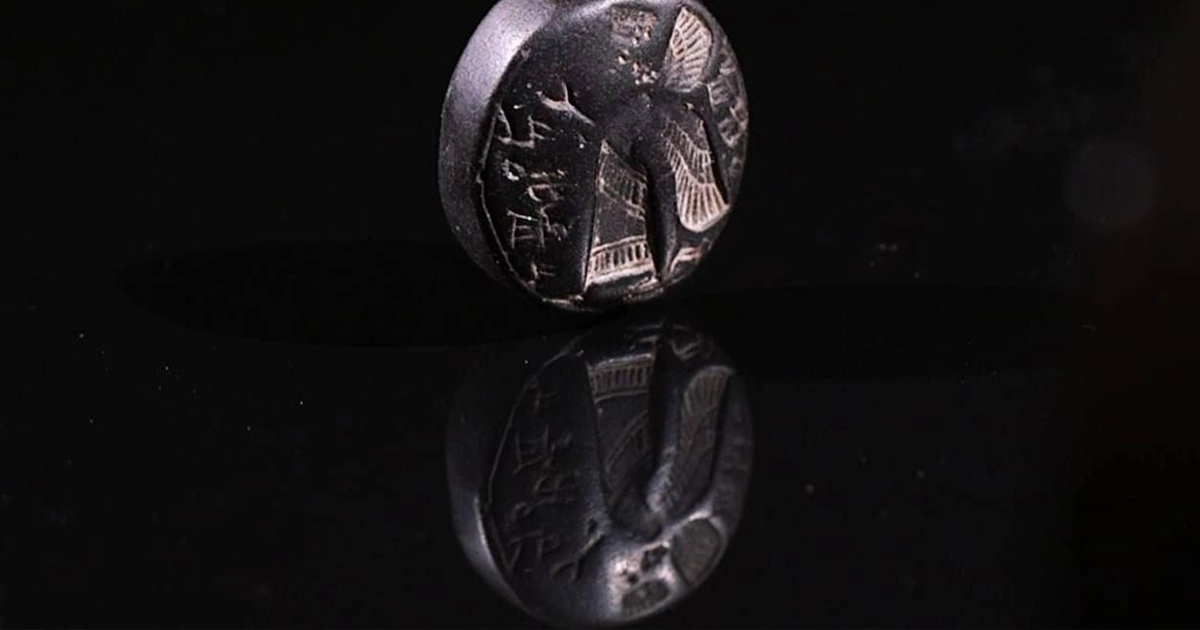 рідкісна печатка