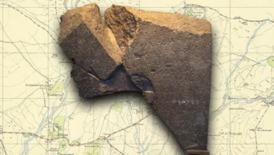 Стела Тель-Дан