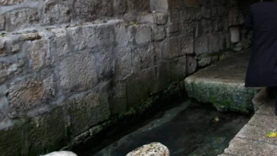 розкопки Сілоамської купелі