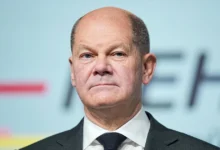 працевлаштування українських біженців