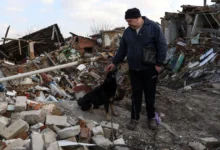 втратили житло через російську агресію