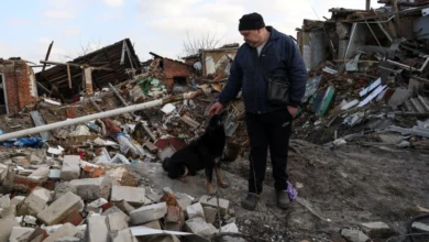 втратили житло через російську агресію