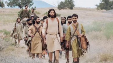 переклад серіалу «Обрані»