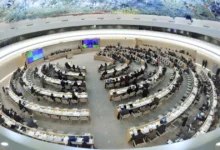 жертви серед мирного населення України