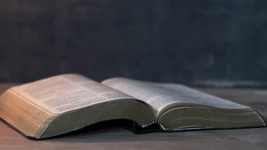 Міжнародний день Біблії