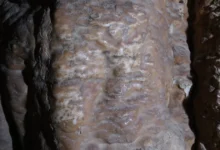 Розшифрований напис Першого храму