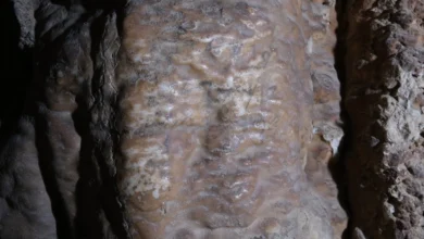 Розшифрований напис Першого храму