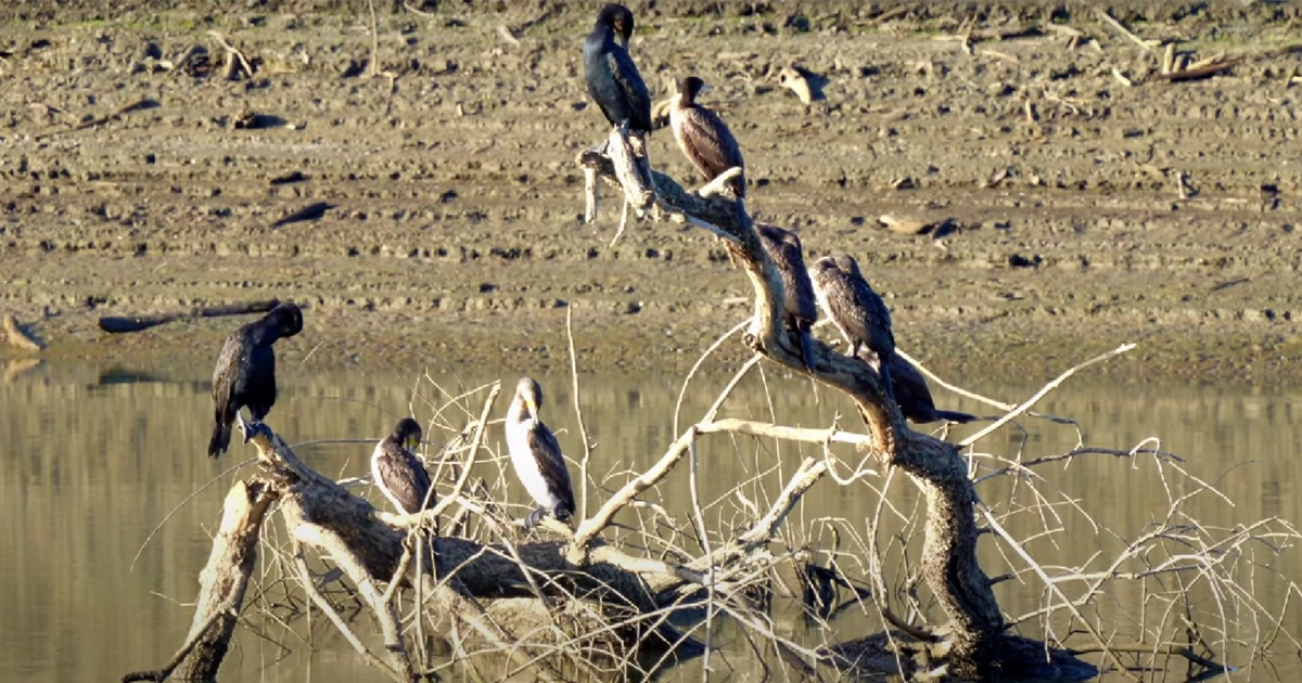дефіцит води