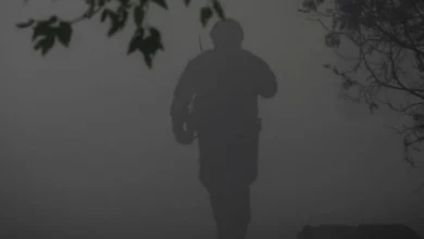 реєстр зниклих безвісти