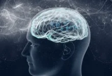 зниження рівня інтелекту у світі