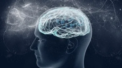 зниження рівня інтелекту у світі