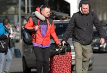 українські біженці 2024