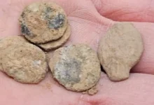 Скарб монет Хасмонеїв