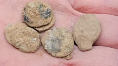 Скарб монет Хасмонеїв