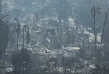 лісові пожежі в Лос-Анджелесі