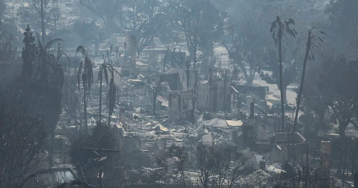 лісові пожежі в Лос-Анджелесі