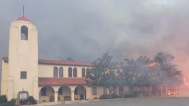 пожежі в Лос-Анджелесі 2024