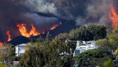 Масштабні пожежі в Каліфорнії: причини та наслідки катастрофи