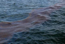 шкода довкіллю України