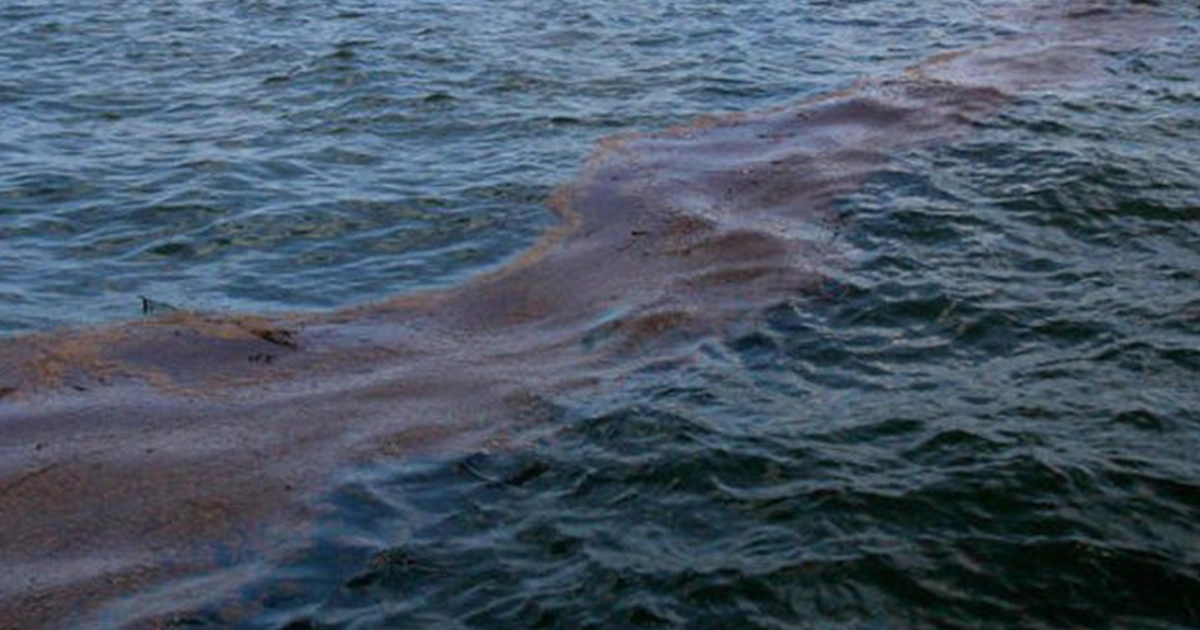 шкода довкіллю України