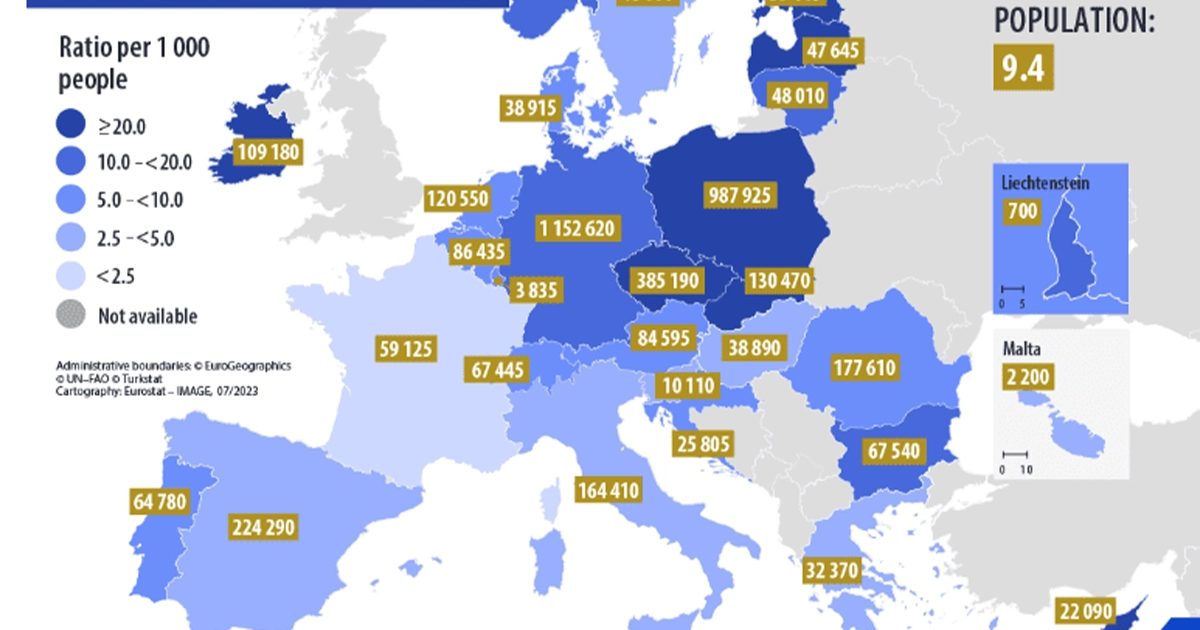 українці під тимчасовим захистом у ЄС