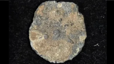 Рідкісна юдейська монета часів Хасмонеїв, знайдена американським туристом у Шіло