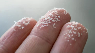 мікропластик і деменція