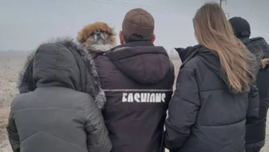 повернення українських дітей