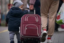 українські біженці в ЄС