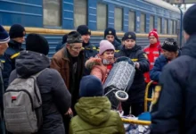 езультати соціологічного опитування щодо міграційних настроїв в Україні під час війни.