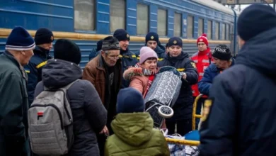 езультати соціологічного опитування щодо міграційних настроїв в Україні під час війни.