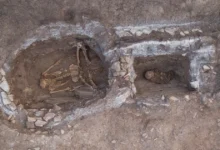 Археологічні розкопки Ямної культури в Україні