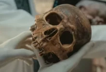 Нове дослідження показує, що неандертальці та денисовці були частиною людської родини, що підтверджує біблійну історію