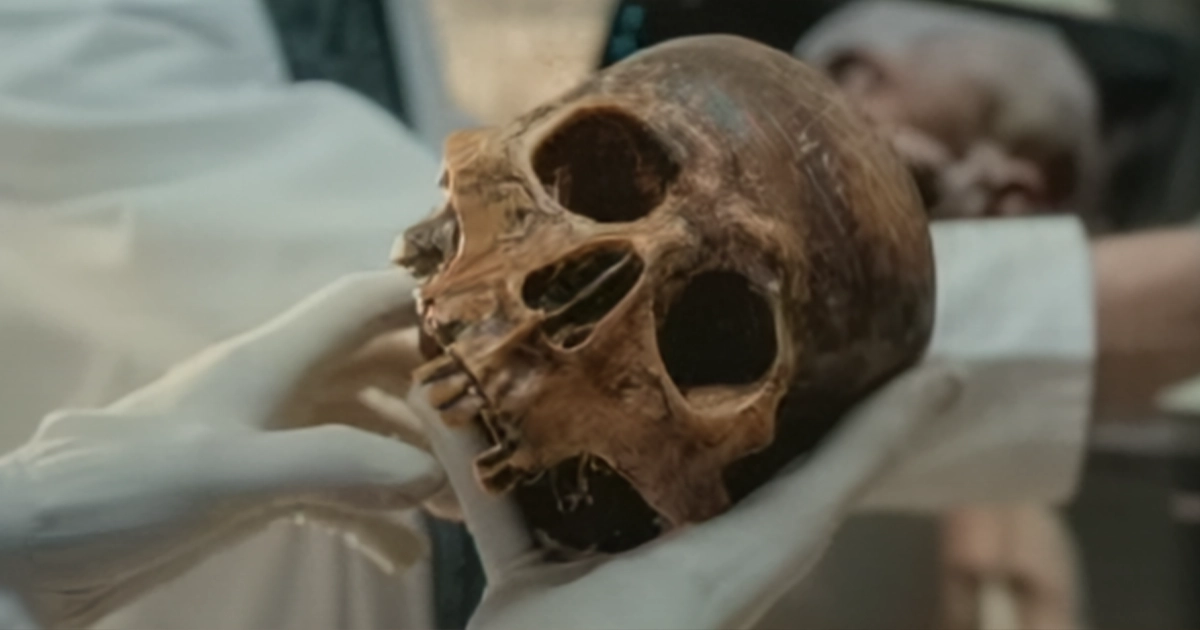 Нове дослідження показує, що неандертальці та денисовці були частиною людської родини, що підтверджує біблійну історію