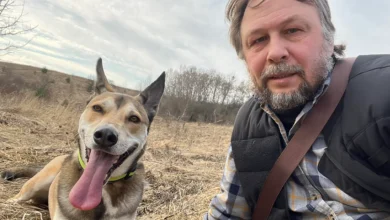 штучна нація