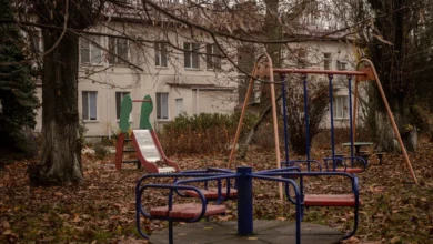 розслідування викрадення українських дітей